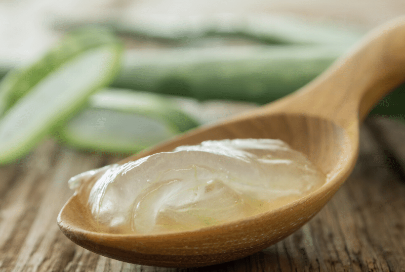 Read more about the article 11 Ways To Use Aloe Vera Gel For Glowing Skin & Hair